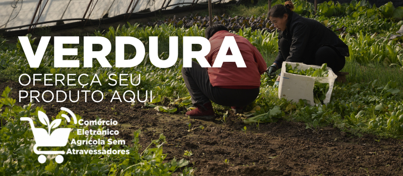 verdura legume anuncie sua marca agro aqui comércio eletrônico agrícola sem atravessadores - agro agricola agritech implemento.png