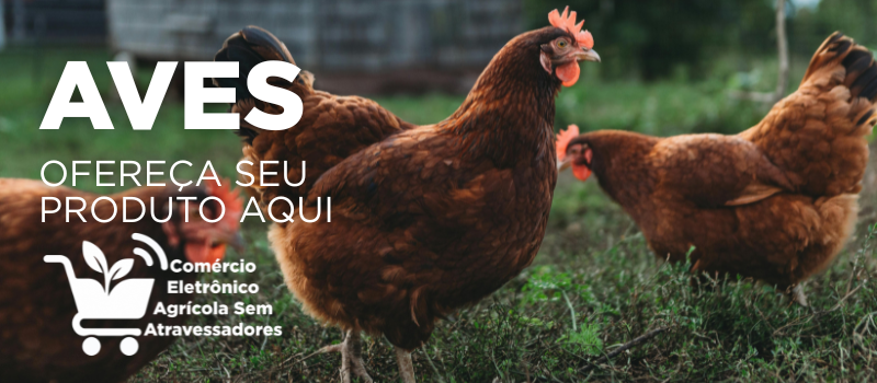 anuncie sua marca agro aqui comércio eletrônico agrícola sem atravessadores - ave avícola.png