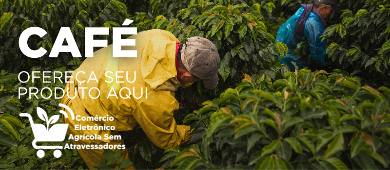 café coffee cafezal anuncie sua marca agro aqui comércio eletrônico agrícola sem atravessadores - agro agricola agritech implemento.png