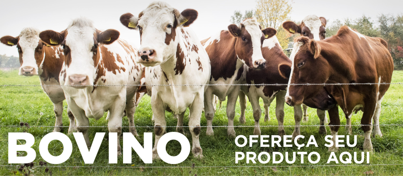 bovino gado boi vaca anuncie sua marca agro aqui comércio eletrônico agrícola sem atravessadores - agro agricola agritech implemento.png