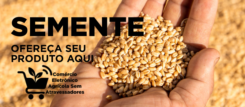 semente, sementes comércio eletrônico agrícola sem atravessadores - agro.png