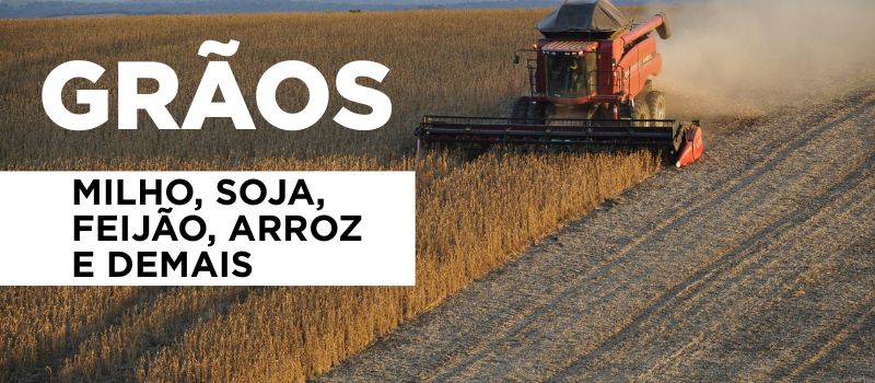 grão soja milho trigo arroz anuncie sua marca agro aqui comércio eletrônico agrícola sem atravessadores - agro agricola agritech implemento.png